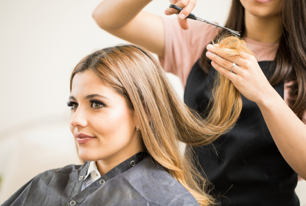 CAP Coiffure (Matières pro)