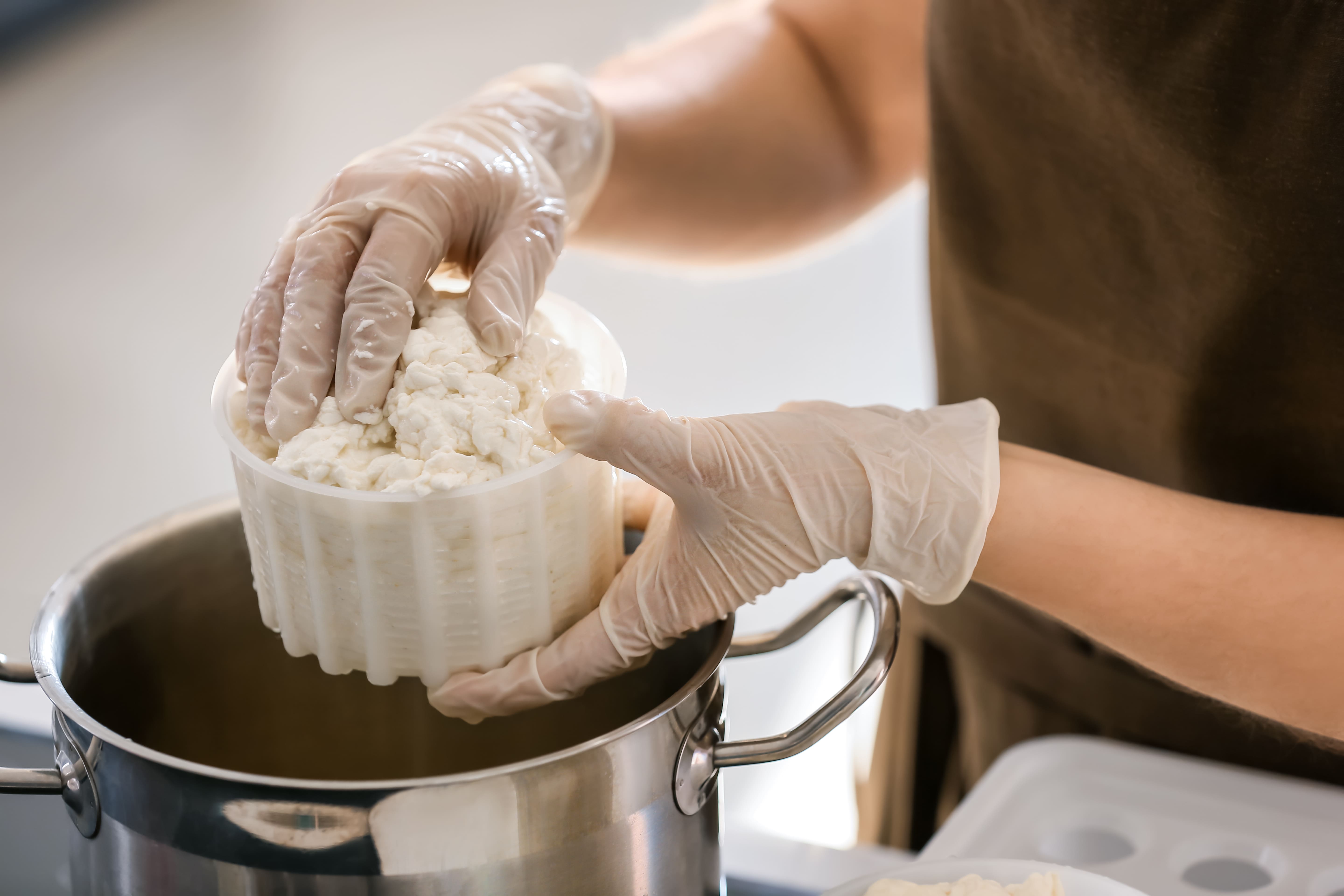 vignette cap crémier fromager matières pro
